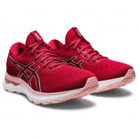 Кросівки для бігу жіночі Asics GEL-NIMBUS 24 Cranberry/Frosted Rose